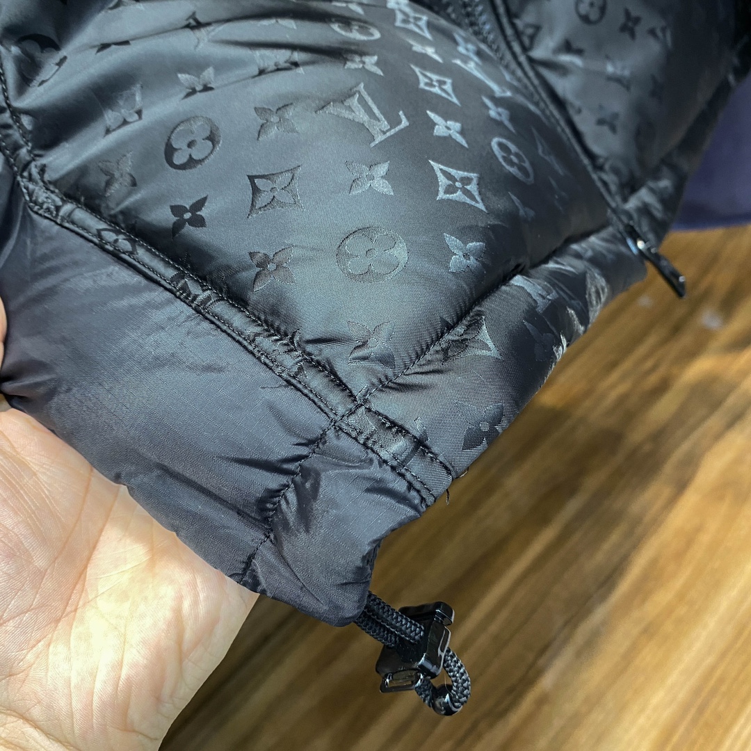 Louis Vuitton Down Jackets